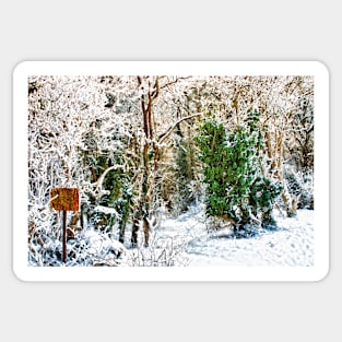 Woodland Snow Sticker